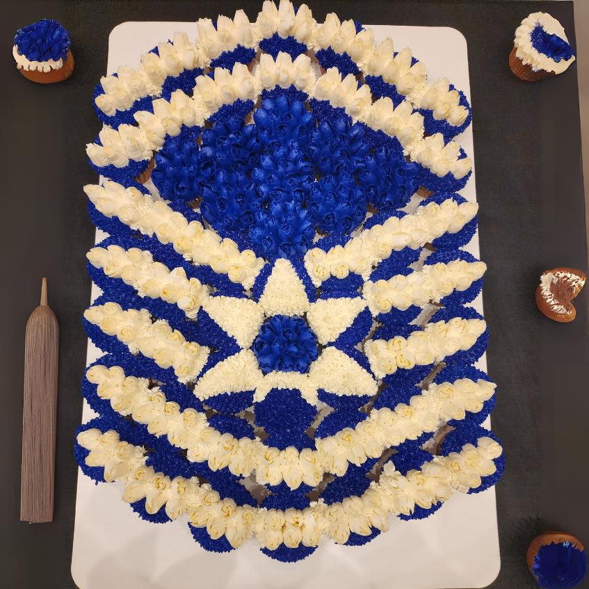 Rank SMSgt - 58 pieces